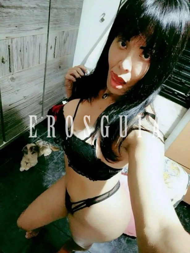 : travesti em Presidente Prudente