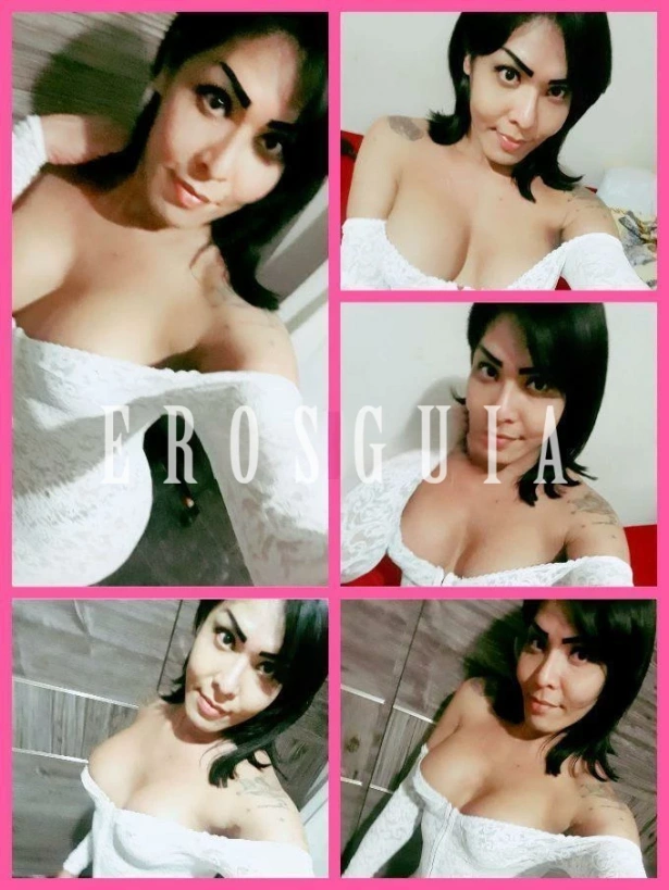 : travesti em Presidente Prudente