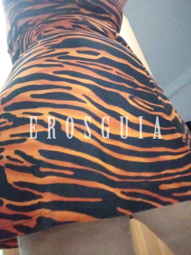 Beijos na boca, Oral com camisinha, Oral sem camisinha, Sexo anal, Garganta profunda, Namoradinha, Oral até o final, Massagem erótica, Sem limite: travesti em Presidente Prudente
