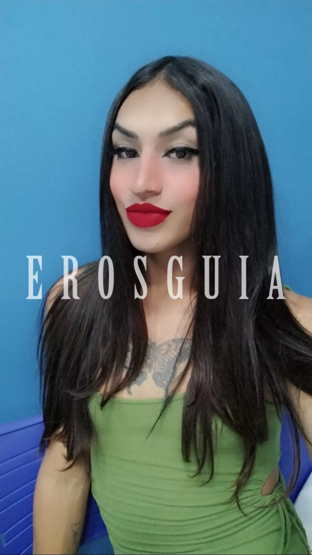 Atenção à casais, Oral com camisinha, Oral sem camisinha, Sexo anal, Garganta profunda, Ejaculação corpo, Lingerie, Ativa, Passiva: travesti em Teresina