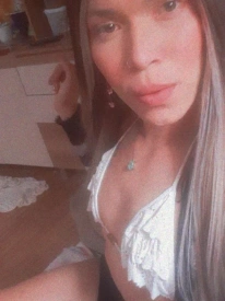 Rafaela, travesti em São José 48996598108