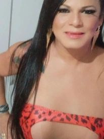 Marcela c/local, travesti em Itajaí 47988233409