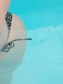 Ananda tembra, Acompanhante em Foz do Iguaçu 45998538303