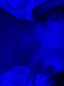 Amanda morena está cadastrada no catálogo de acompanhantes de luxo